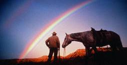 Horse and Cowboy watching a rainbow